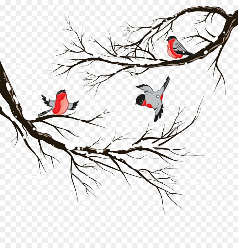 Aves，Ramo PNG