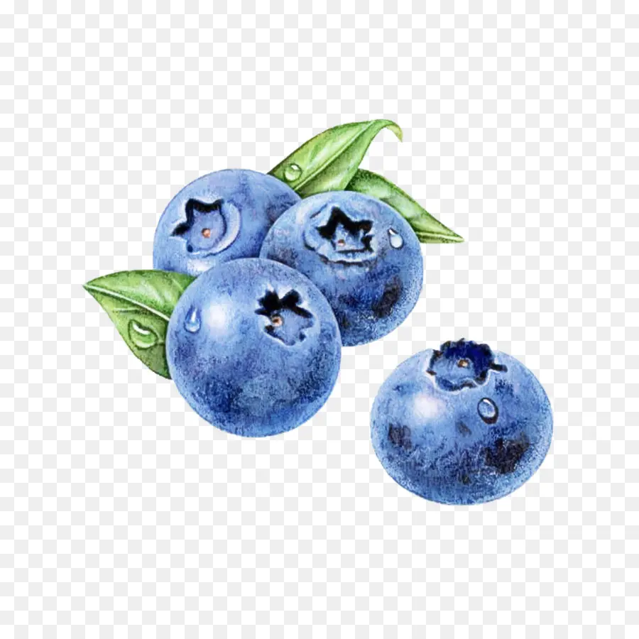 Berry，Mirtilo PNG