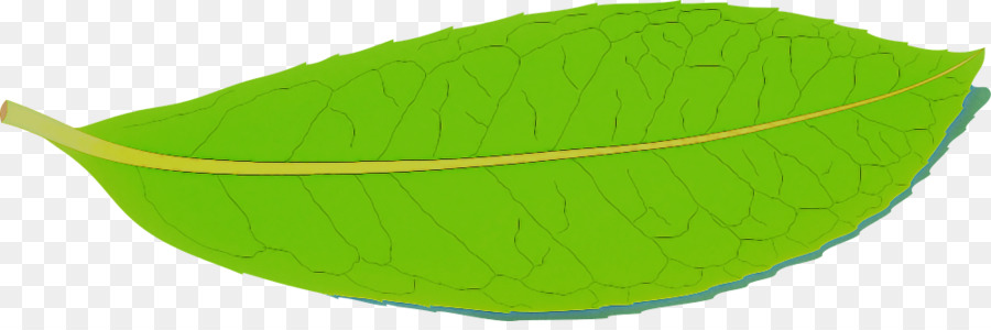 Pena Verde，Folha PNG