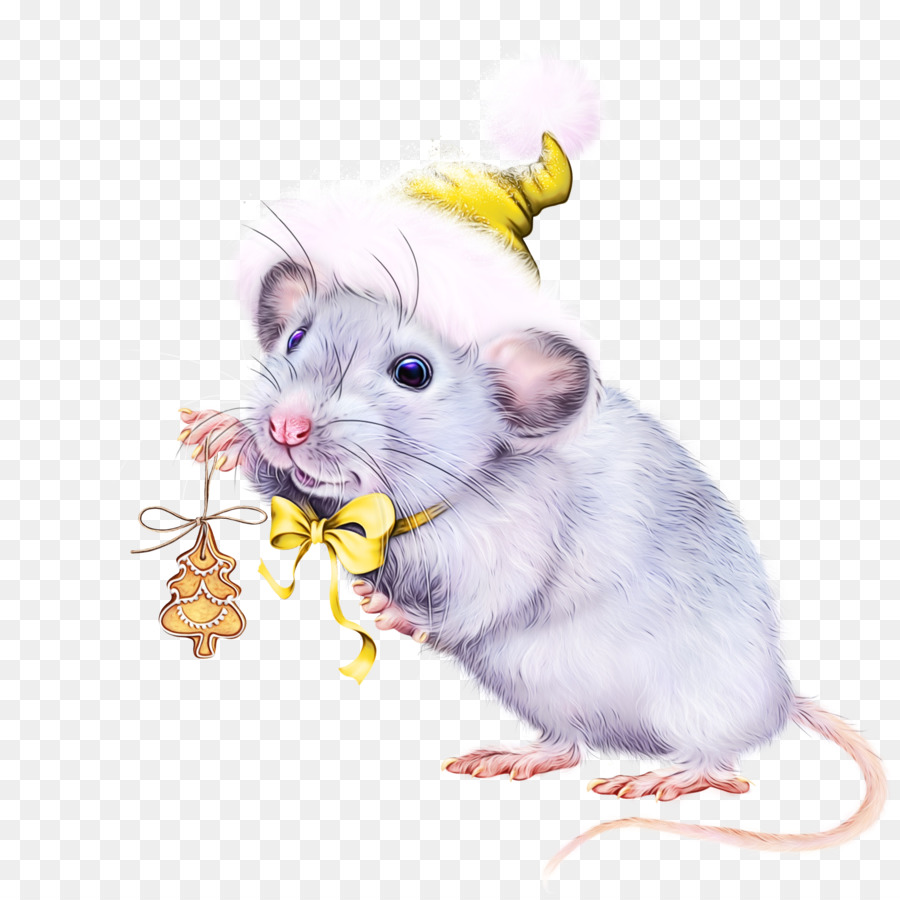 Mouse，Rat PNG