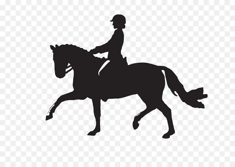 Cavalo，Inglês Equitação PNG