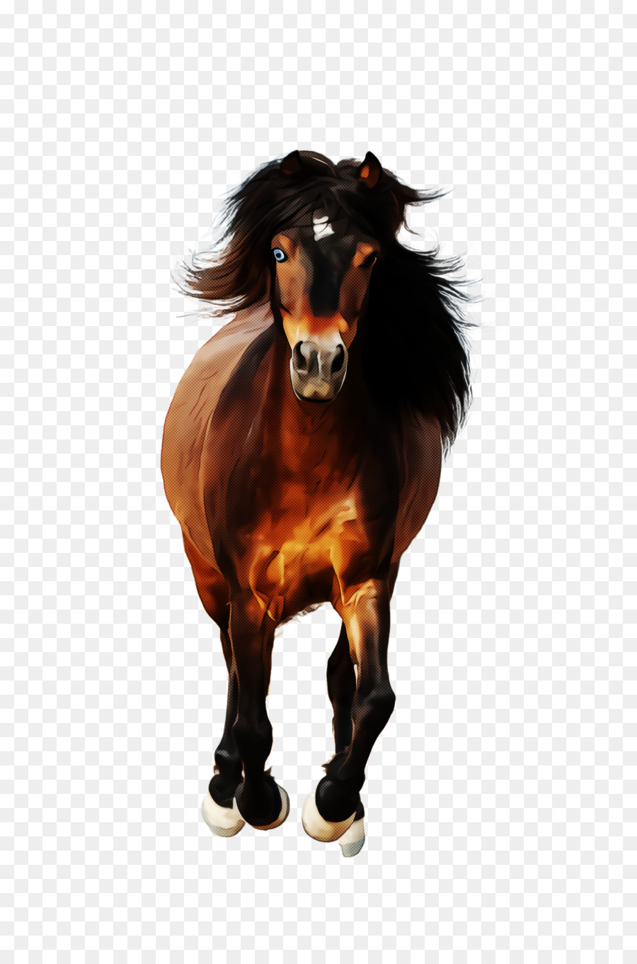 Cavalo，Garanhão PNG