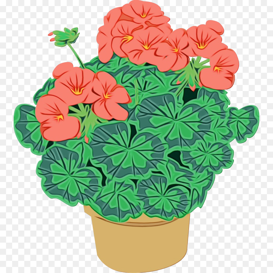 Flor，Planta PNG