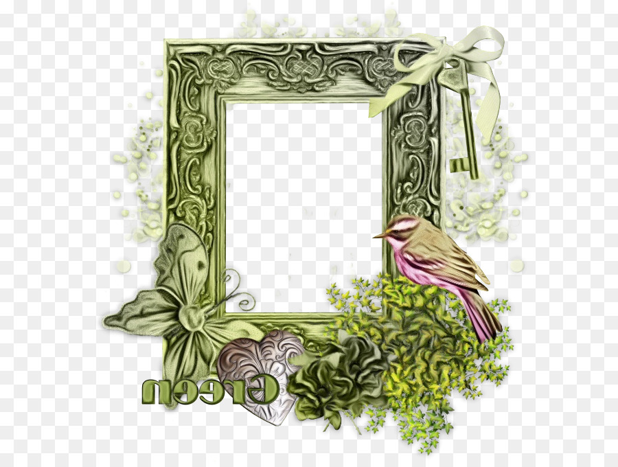 Quadro De Imagem，Planta PNG