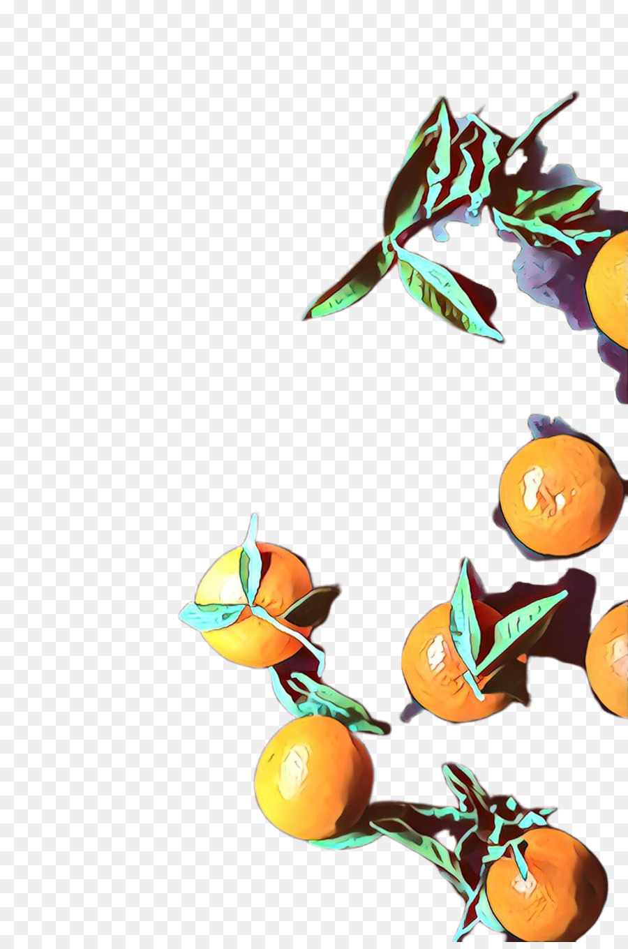 Mandarina，Tangerina PNG