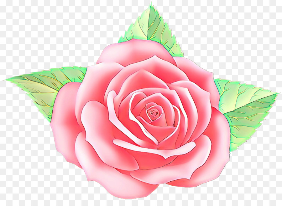 As Rosas Do Jardim，Cor De Rosa PNG