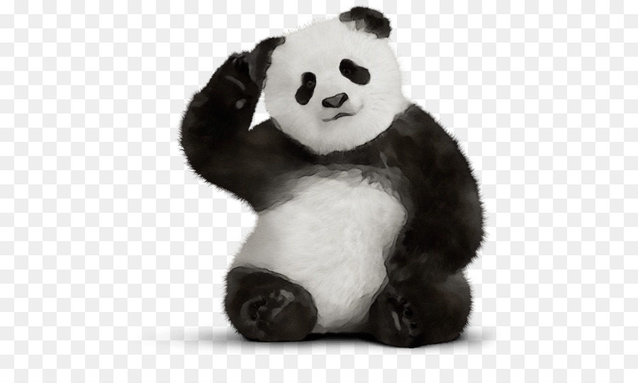 Panda，Brinquedo De Pelúcia PNG