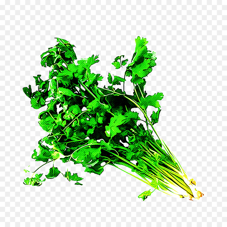 Verde，Folha PNG