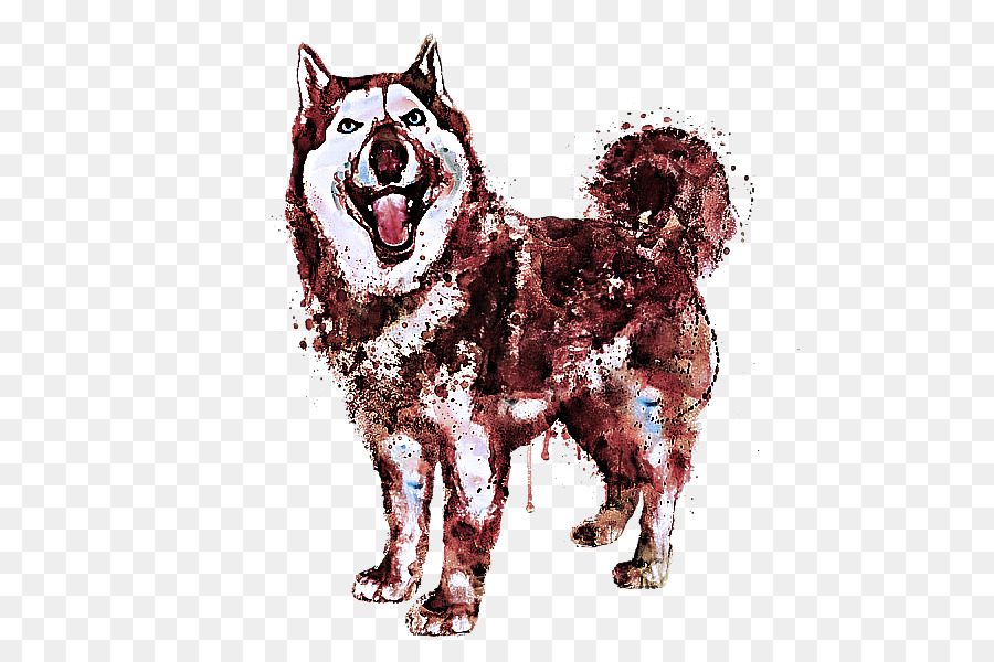 Cachorro，Akita PNG