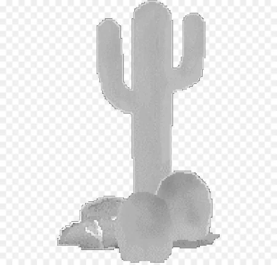 Cactus，Planta PNG