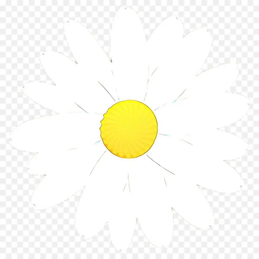 Amarelo，Círculo PNG