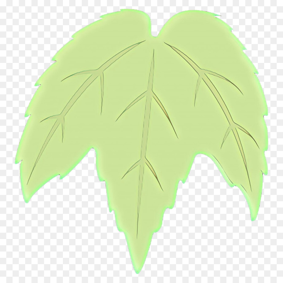 Folha，Verde PNG