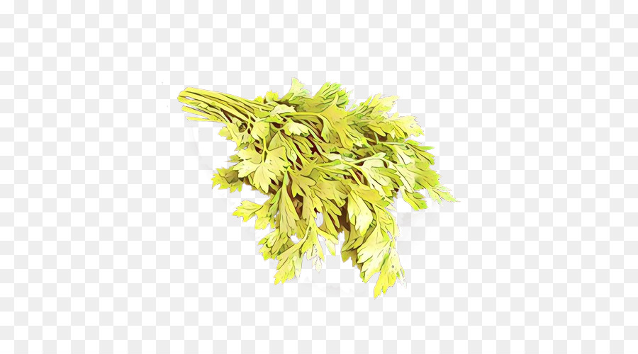 Planta，Amarelo PNG