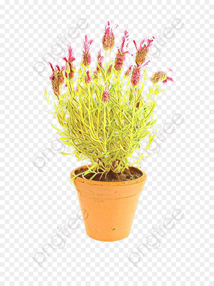 Flor，Flowerpot PNG