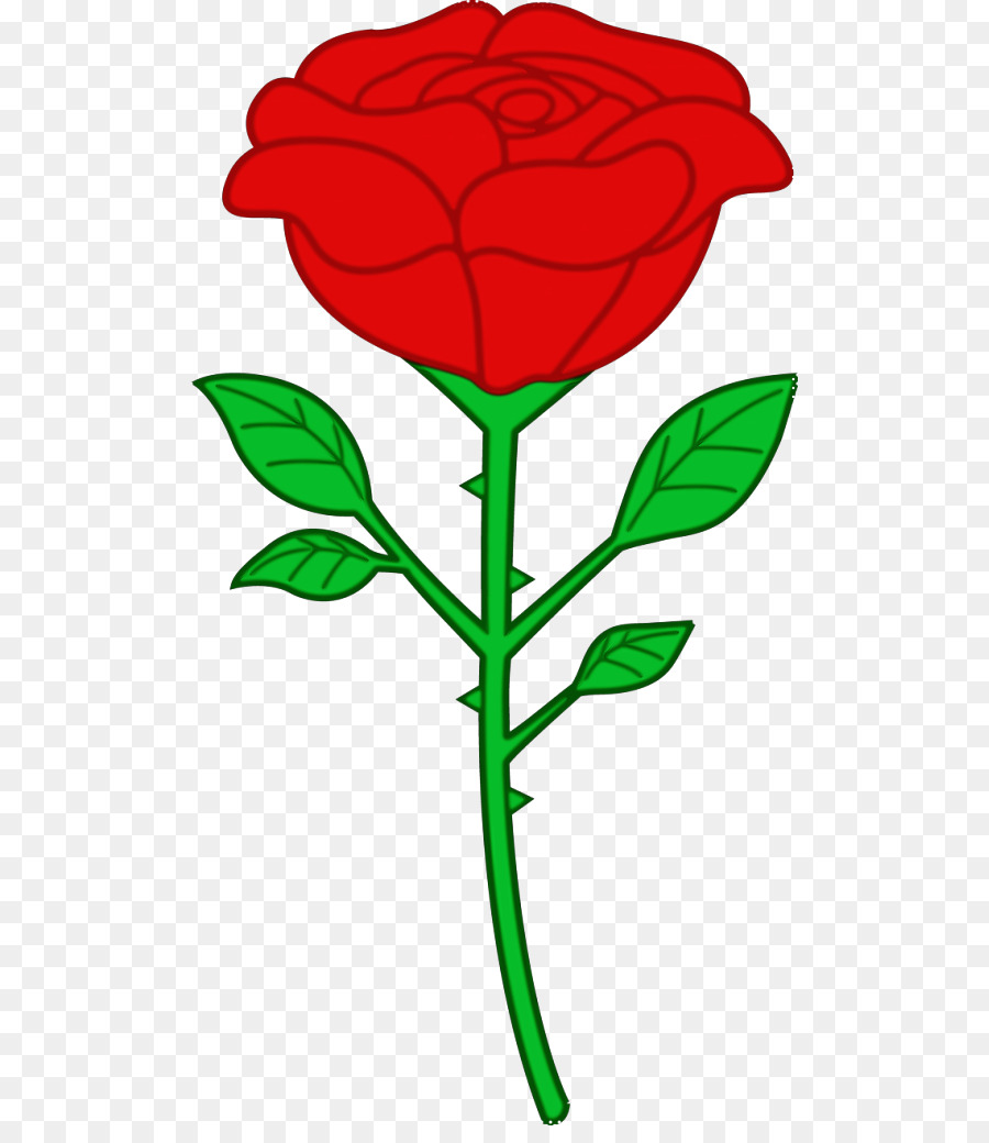 Rosa，Vermelho PNG