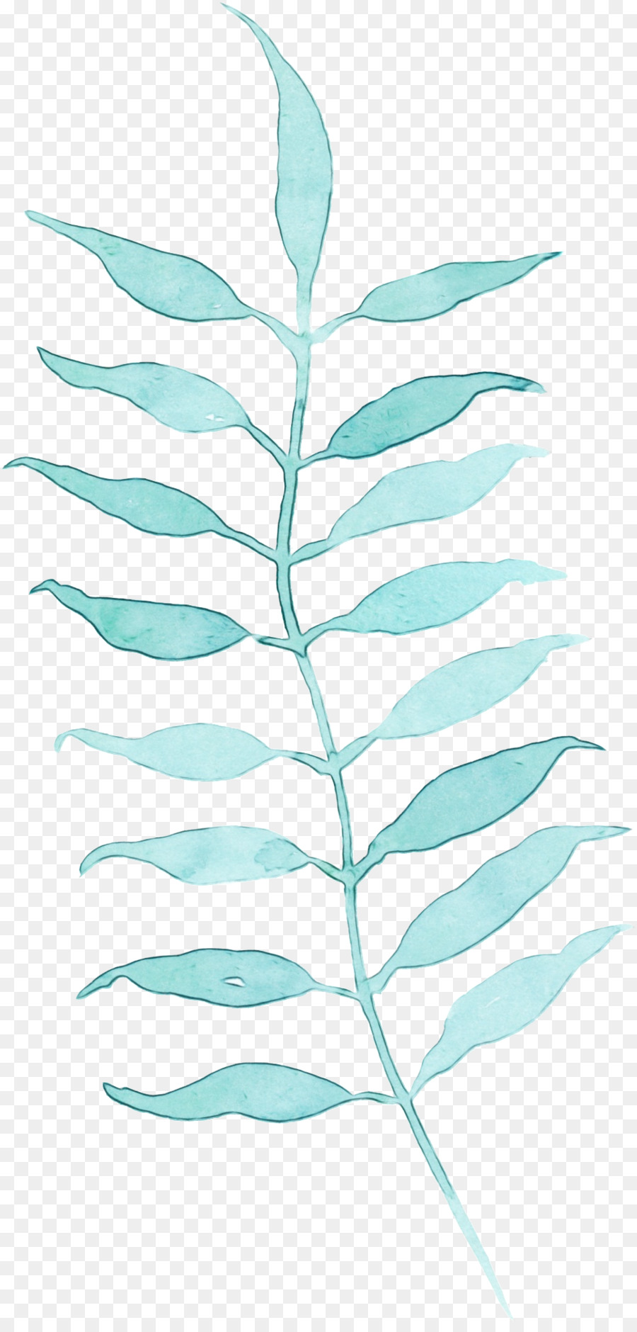 Folha，Planta PNG