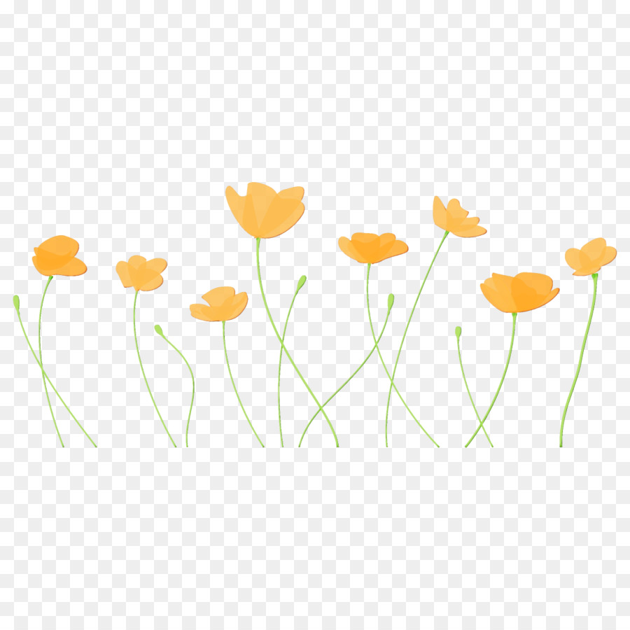 Flor，Amarelo PNG