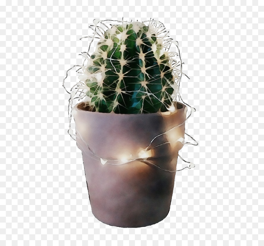 Cactus，Flowerpot PNG