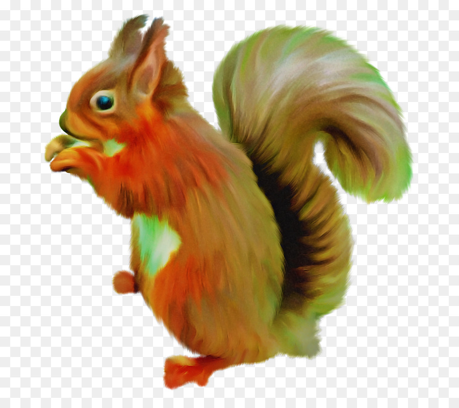 Esquilo，Eurásia Esquilo Vermelho PNG