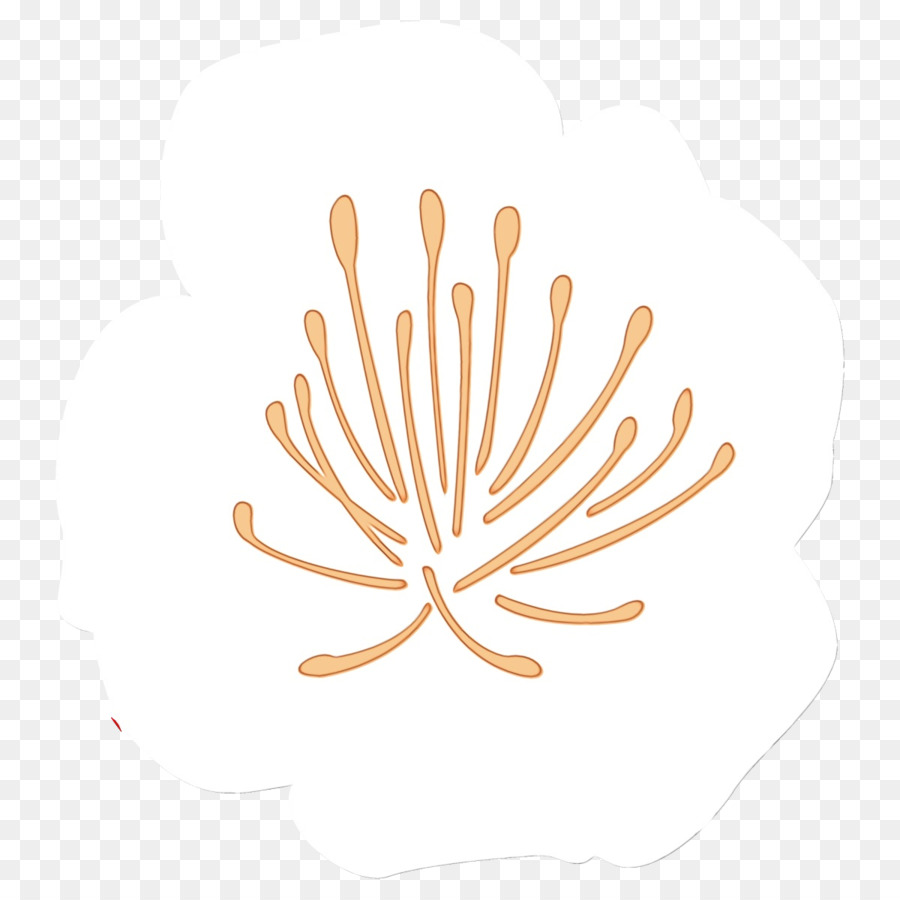 Folha，Logotipo PNG