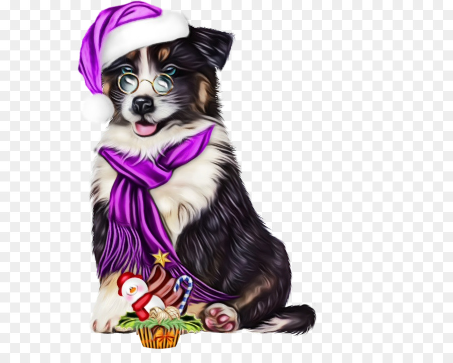 Cachorro，Border Collie PNG