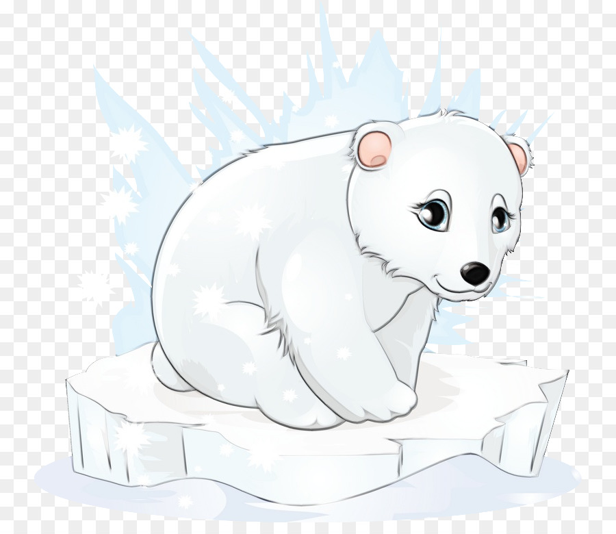 Urso Polar，Urso PNG