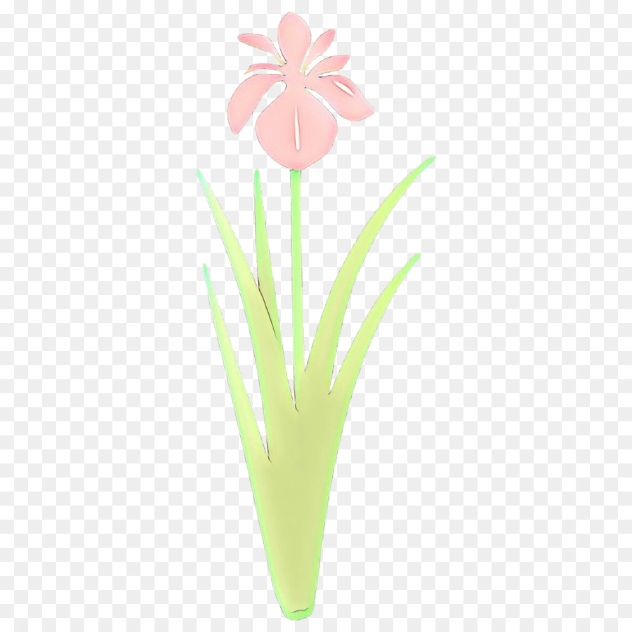 Flor，Planta PNG