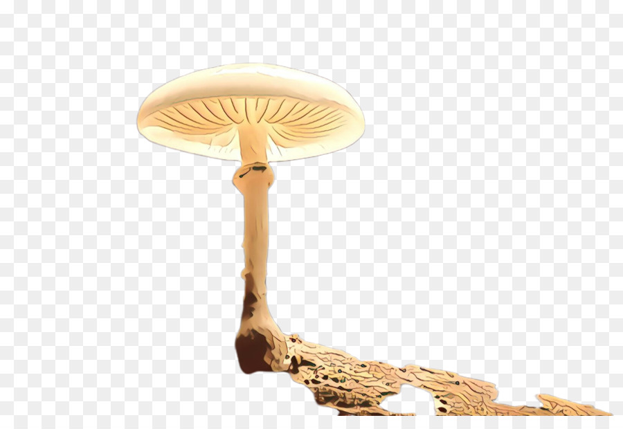 Cogumelo，Lamp PNG