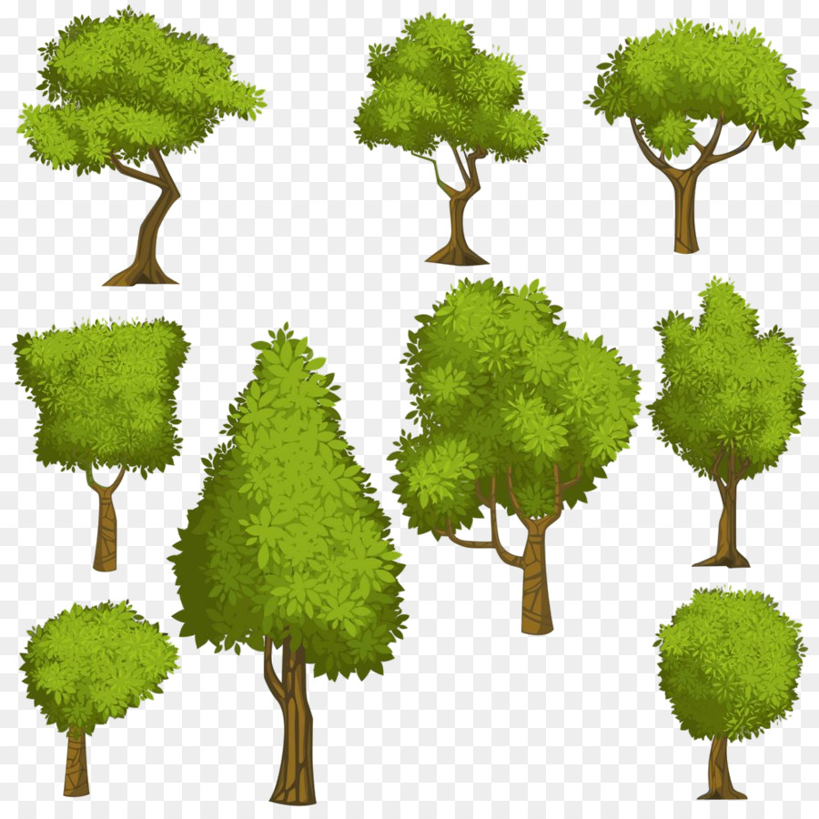 árvore，Verde PNG