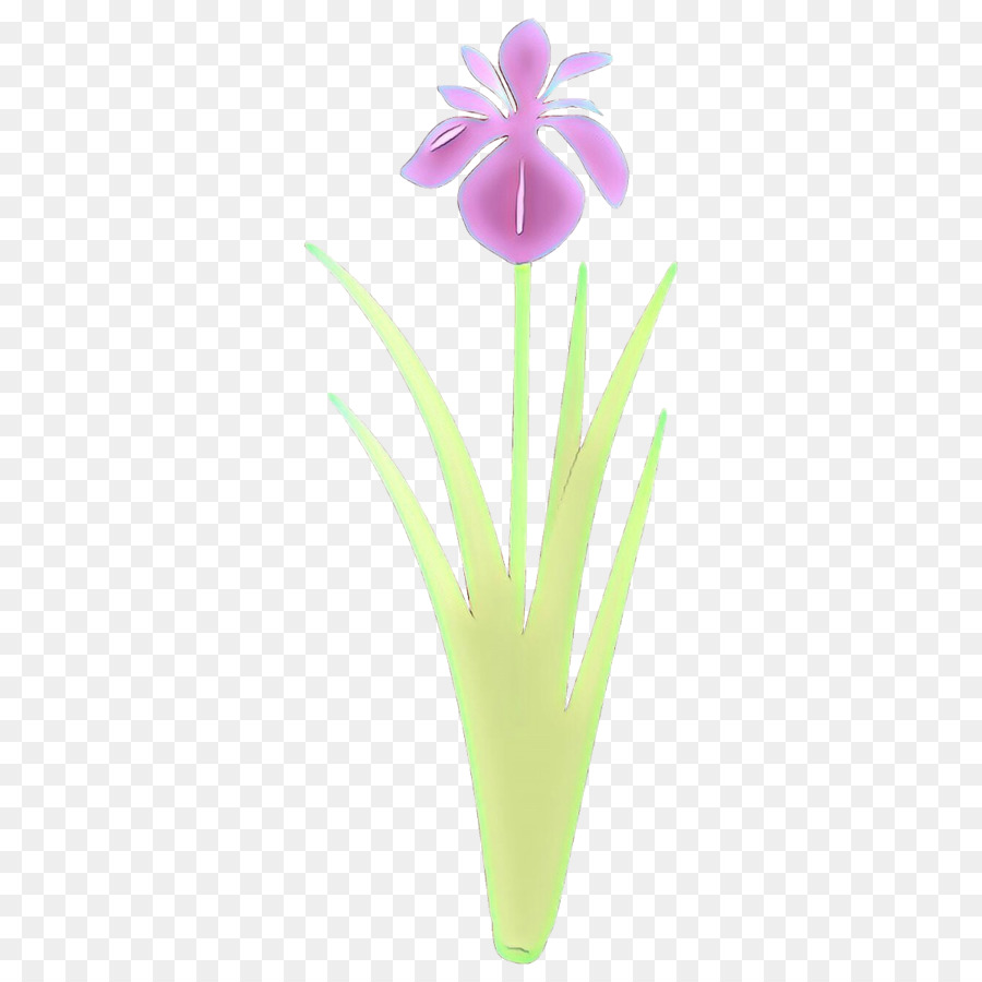 Flor，Planta PNG