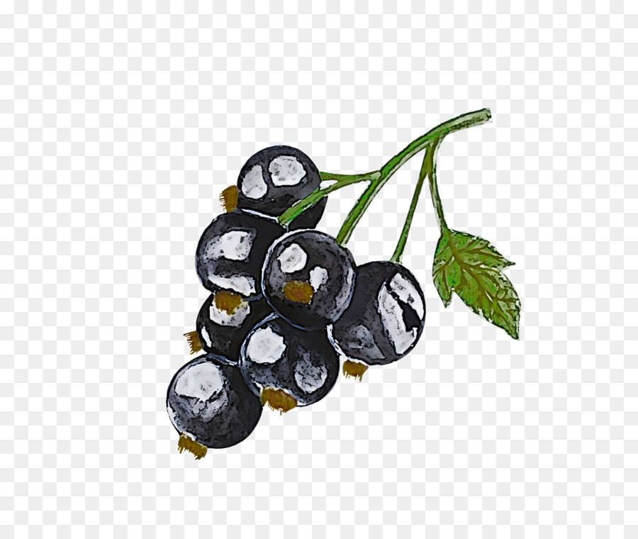 Frutas，Planta PNG