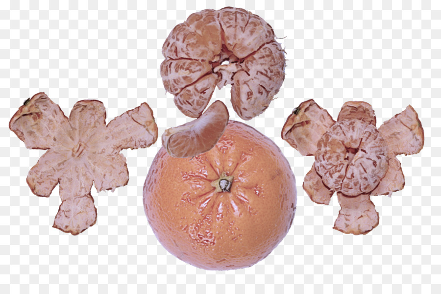 Planta，Frutas PNG