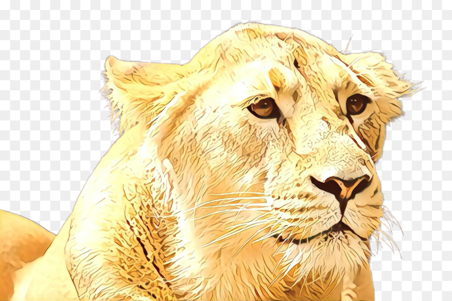 Leão，A Vida Selvagem PNG