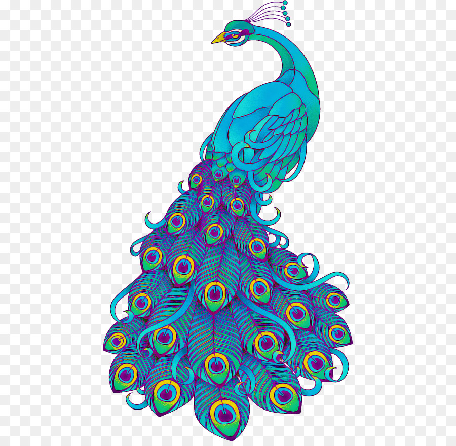 Peafowl，Aqua PNG