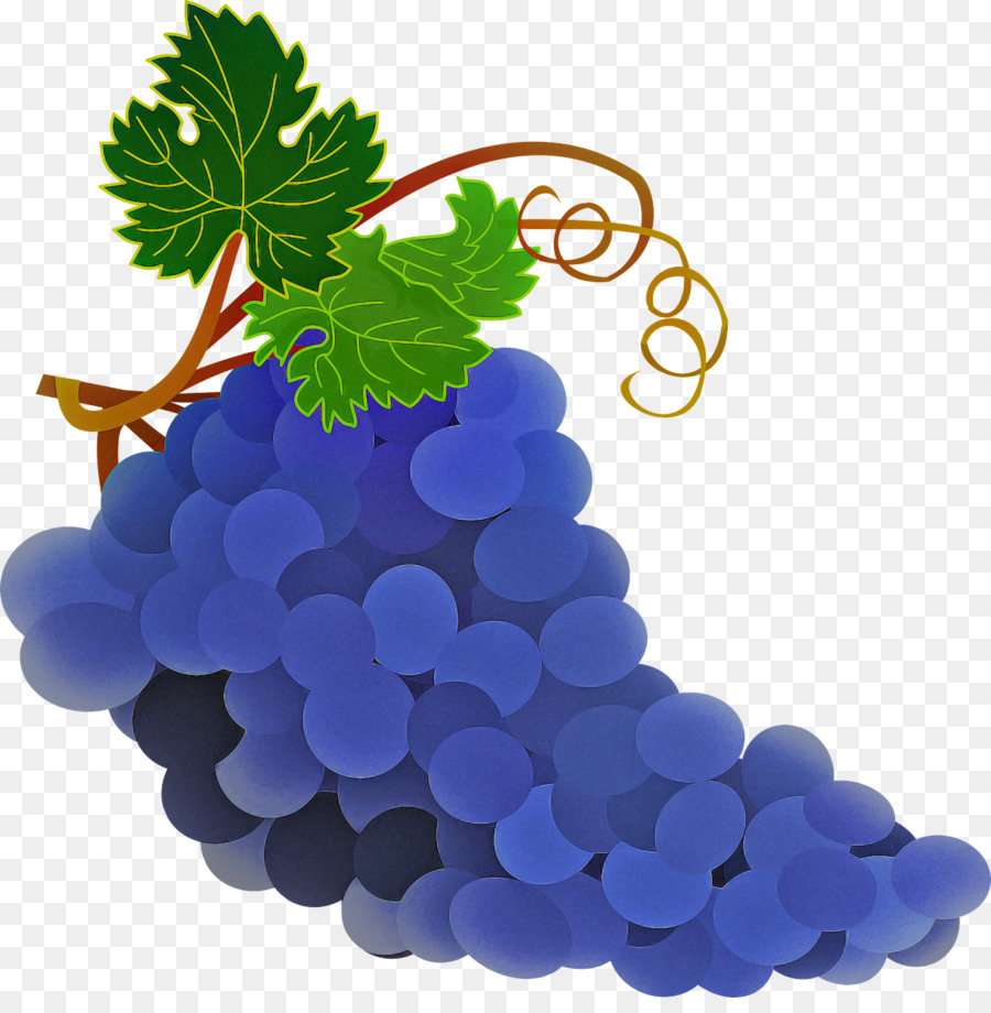 Uvas，Roxo PNG