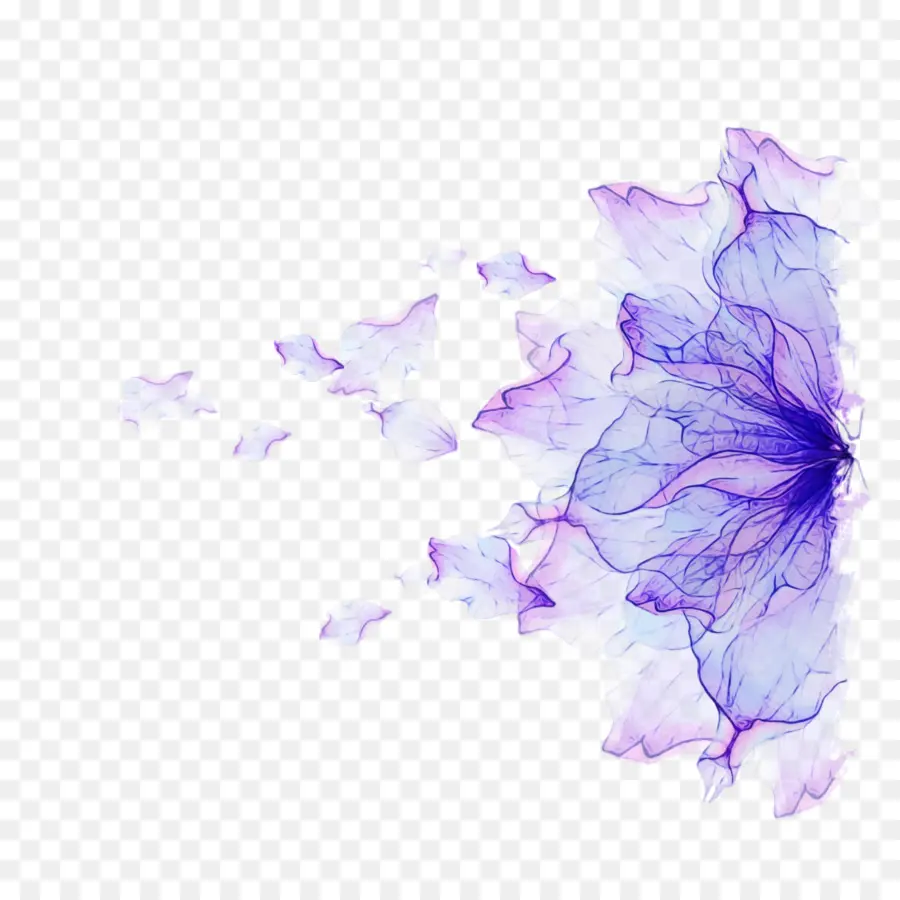 Violeta，Roxo PNG