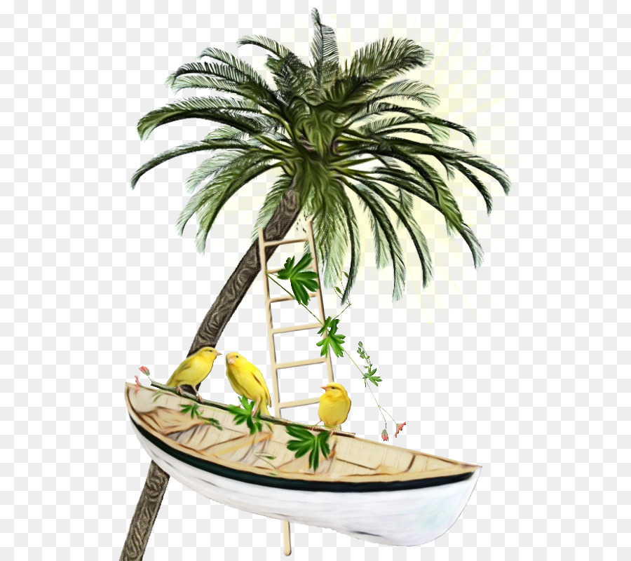 Palmeira，árvore PNG