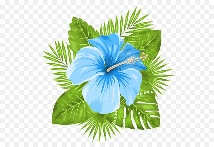 Azul，Havaiano De Hibisco PNG