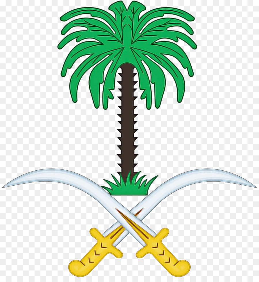 Palmeira，Verde PNG