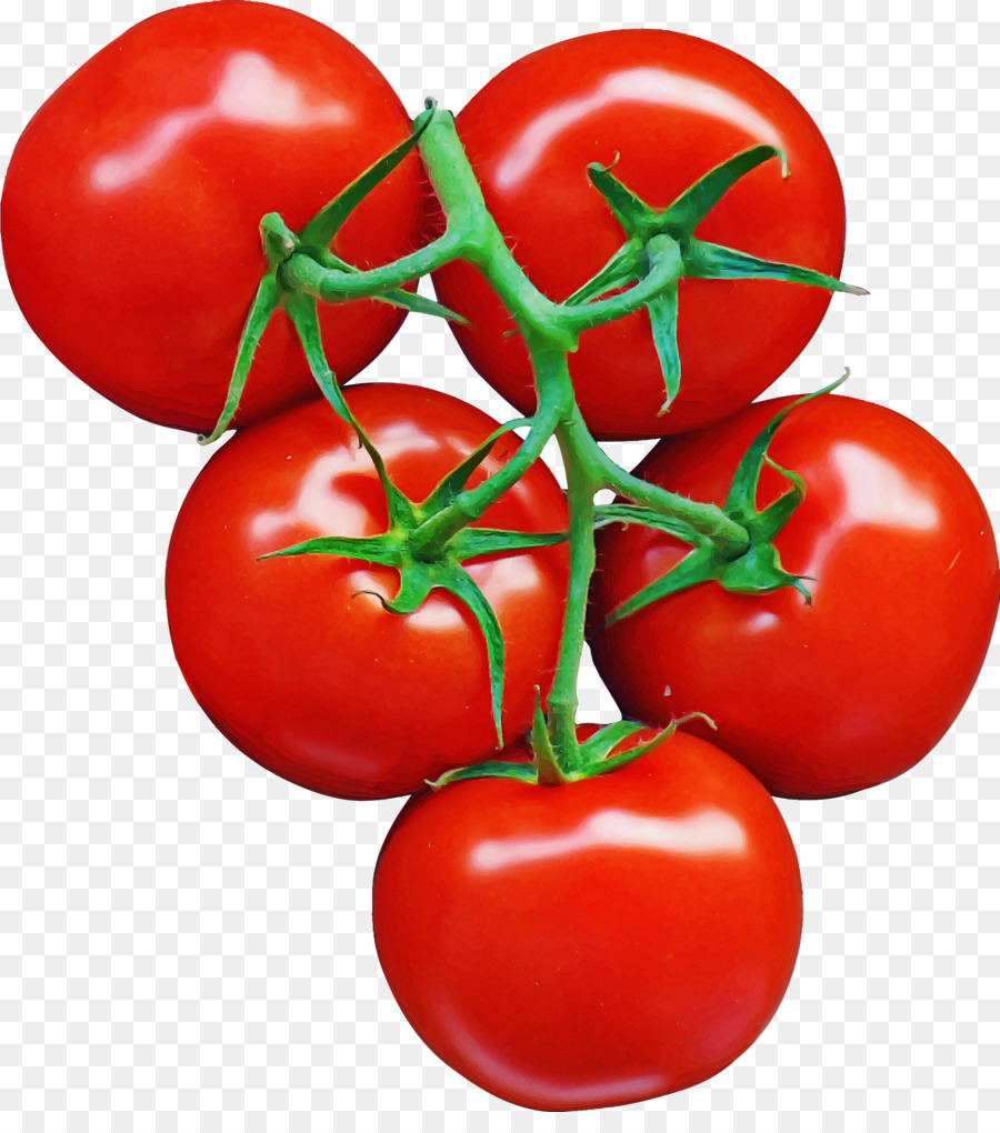 Tomates，Fruta PNG