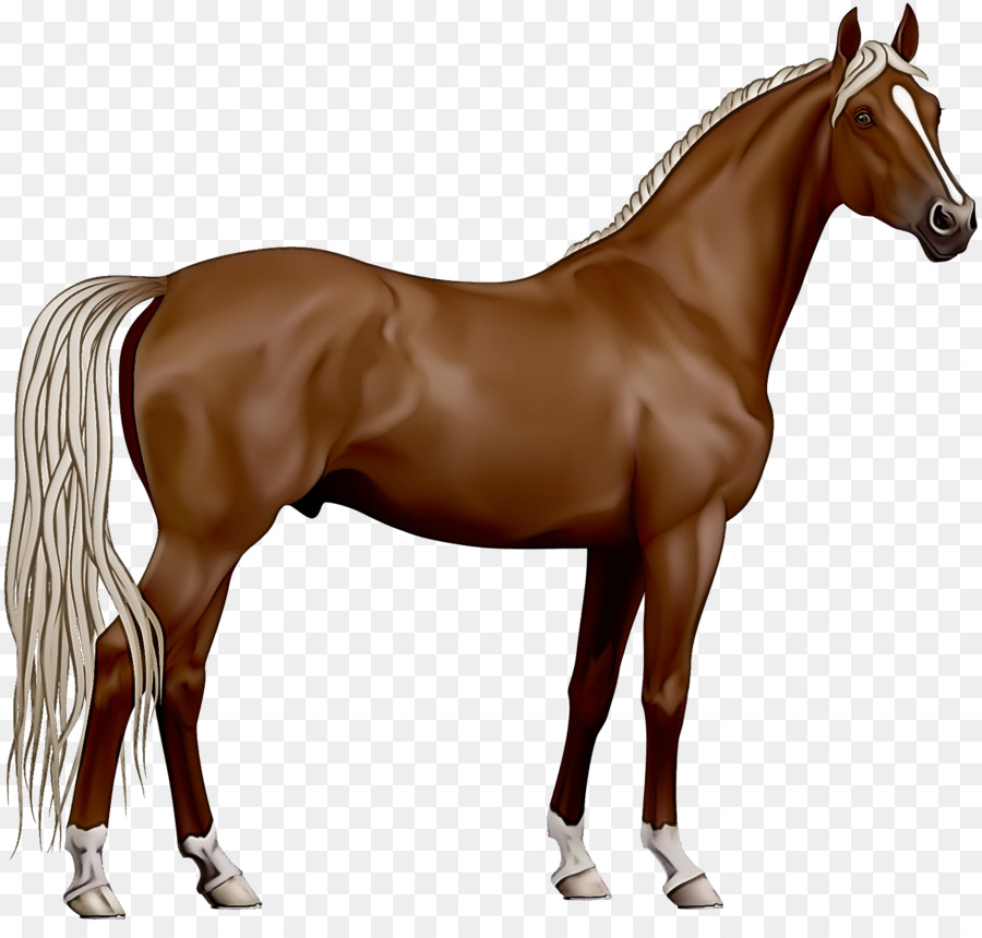 Cavalo，Animal Figura PNG