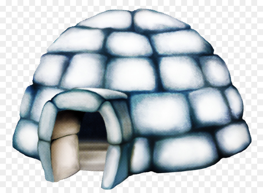 Tartaruga，Turtle PNG