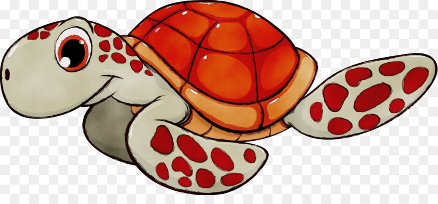 Turtle，Répteis PNG