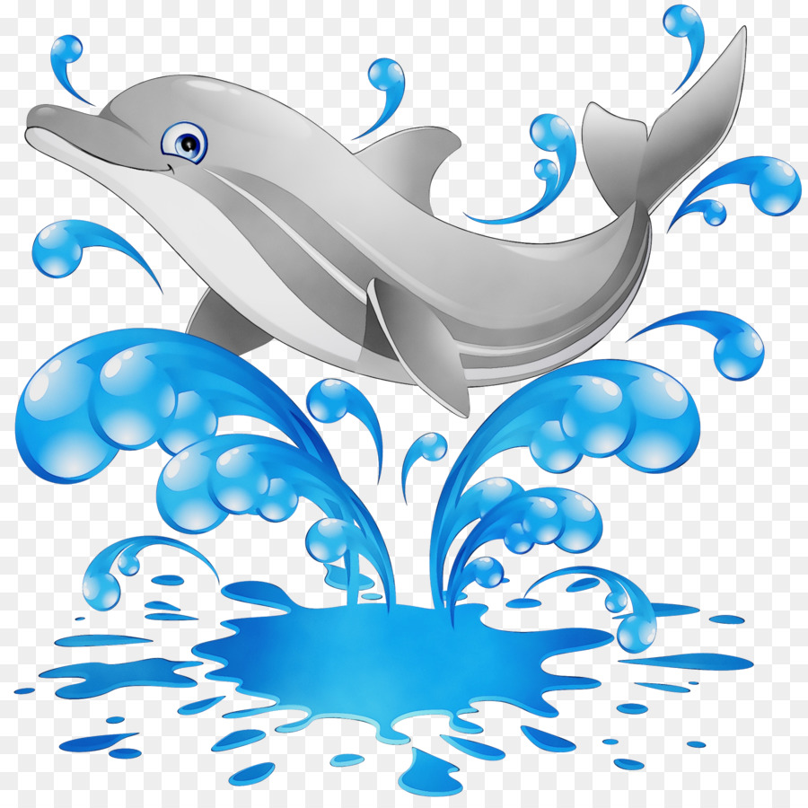 Dolphin，Golfinhos Comuns PNG