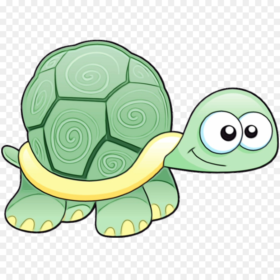 Tartaruga E Caracol De Desenho Animado，Animal PNG