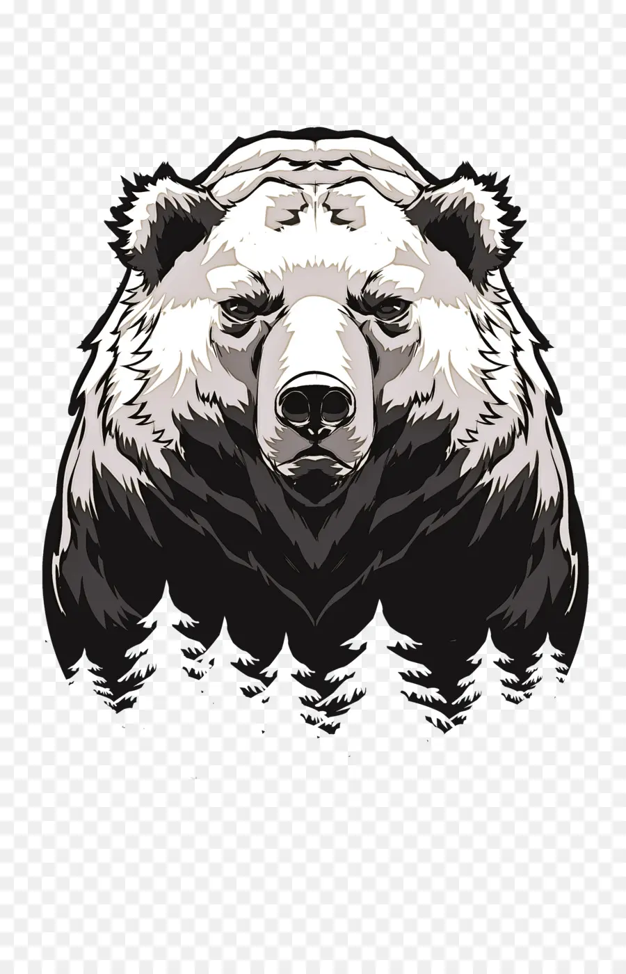 Grizzly Bear，Urso PNG