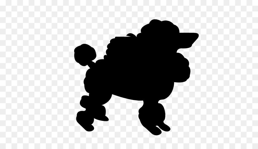 Cachorro，Poodle PNG