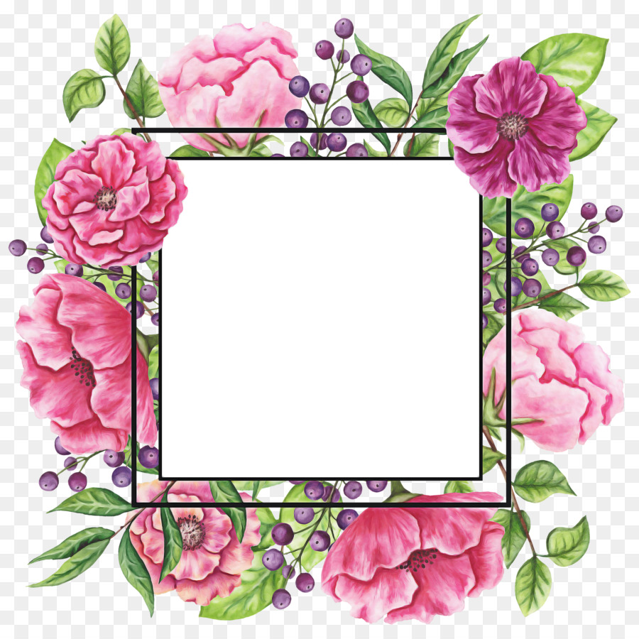 Cor De Rosa，Quadro De Imagem PNG