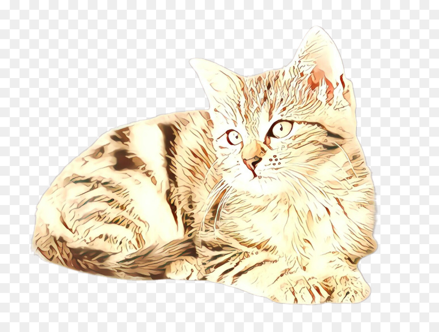 Gato，Pequenas E Médias Gatos PNG