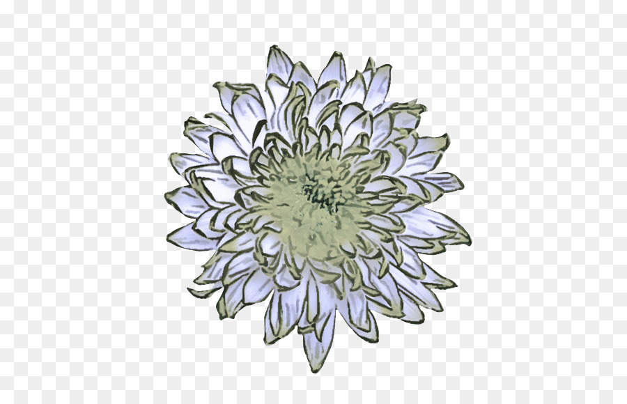 Flor，Planta PNG